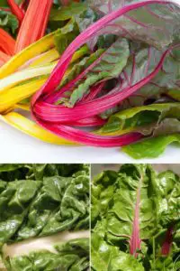 How to Cook Chard Greens and stalks