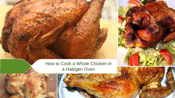 how to cook a whole chicken in a halogen oven