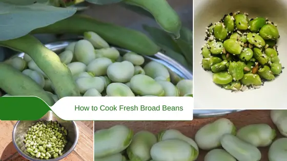 how to cook fresh broad beans quickly