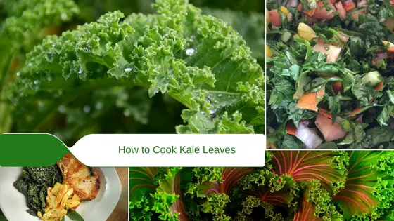 how to cook kale leaves fresh