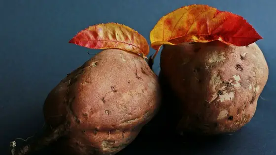 How to cook Sweet potatoes