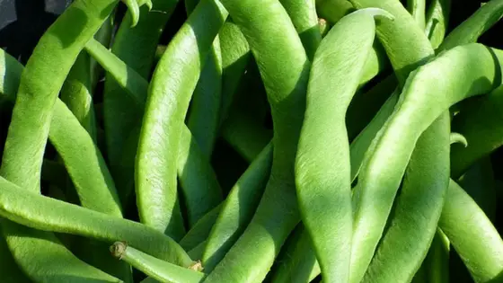 how to cook runner beans easily