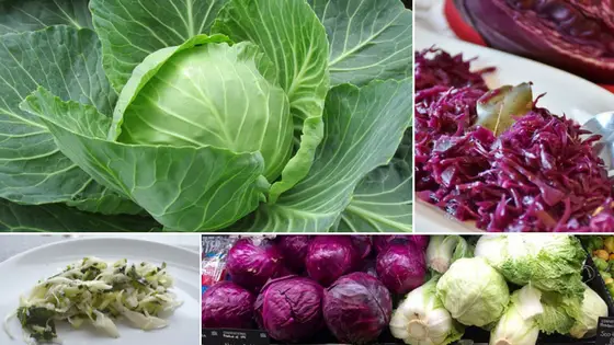 How to Cook Fresh Cabbage