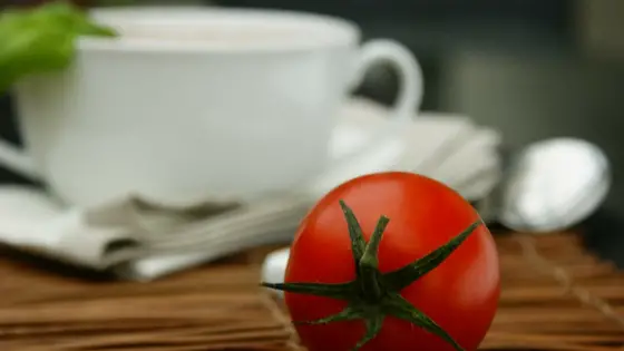Easy Tomato Soup Recipes