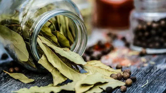 How to Dry Bay Leaves