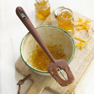 Thermospatula Thermometer and Stirrer