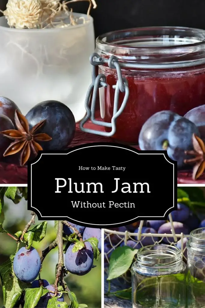 how to make a really tasty easy plum jam recipe without pectin