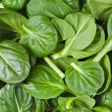 how to cook baby spinach in the microwave – Microwave Recipes