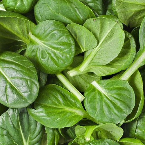 How To Sauté Spinach Leaves
