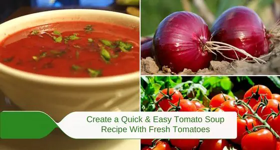 quick & easy tomato soup recipe with fresh tomatoes