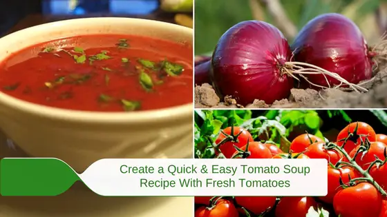 quick & easy tomato soup recipe with fresh tomatoes