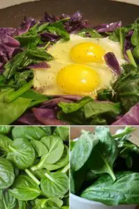 how to cook spinach leaves