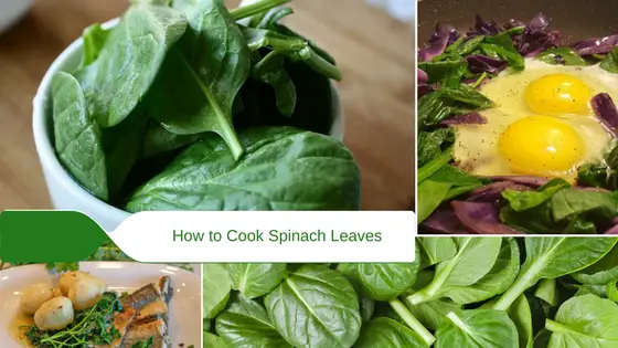 how to cook spinach leaves 