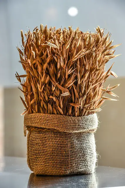 bag of wheat