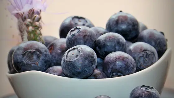 How to Make Blueberry Jam without sugar