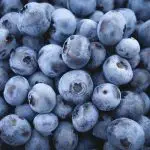 Simply Natural Sugar-Free Blueberry Jam Recipe
