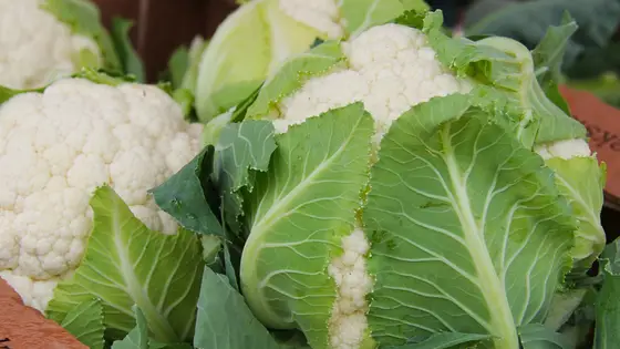 how to Cook Cauliflower